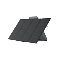 Thumbnail for ecoflow portable panel